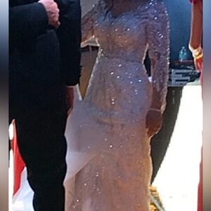 Glitter Mesh Long Sleeve Evening Dress - Champagne